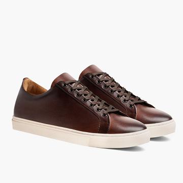 Thursday Boots Premier Low Tops Leder Rugged & Resilient Sneakers Herren Kaffee | AT226XYU