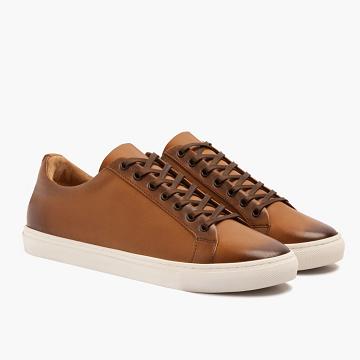 Thursday Boots Premier Low Tops Leder Rugged & Resilient Sneakers Herren Gold | AT227ZUT