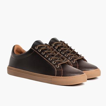 Thursday Boots Premier Low Tops Leder Sneakers Herren Bordeaux | AT220QMA