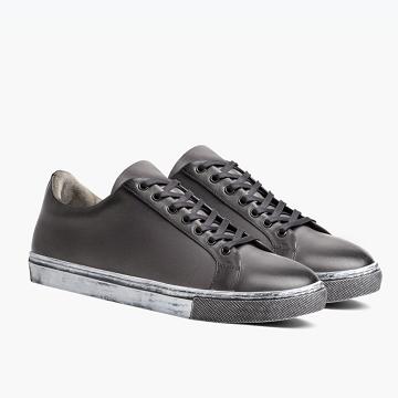 Thursday Boots Premier Low Tops Leder Sneakers Herren Grau | AT221MQZ