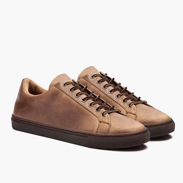 Thursday Boots Premier Low Tops Leder Sneakers Herren Braun | AT225CTV